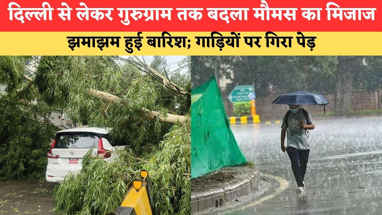 Weather Update: दिल्ली से लेकर गुरुग्राम तक बदला मौमस का मिजाज, झमाझम हुई बारिश; गाड़ियों पर गिरा पेड़