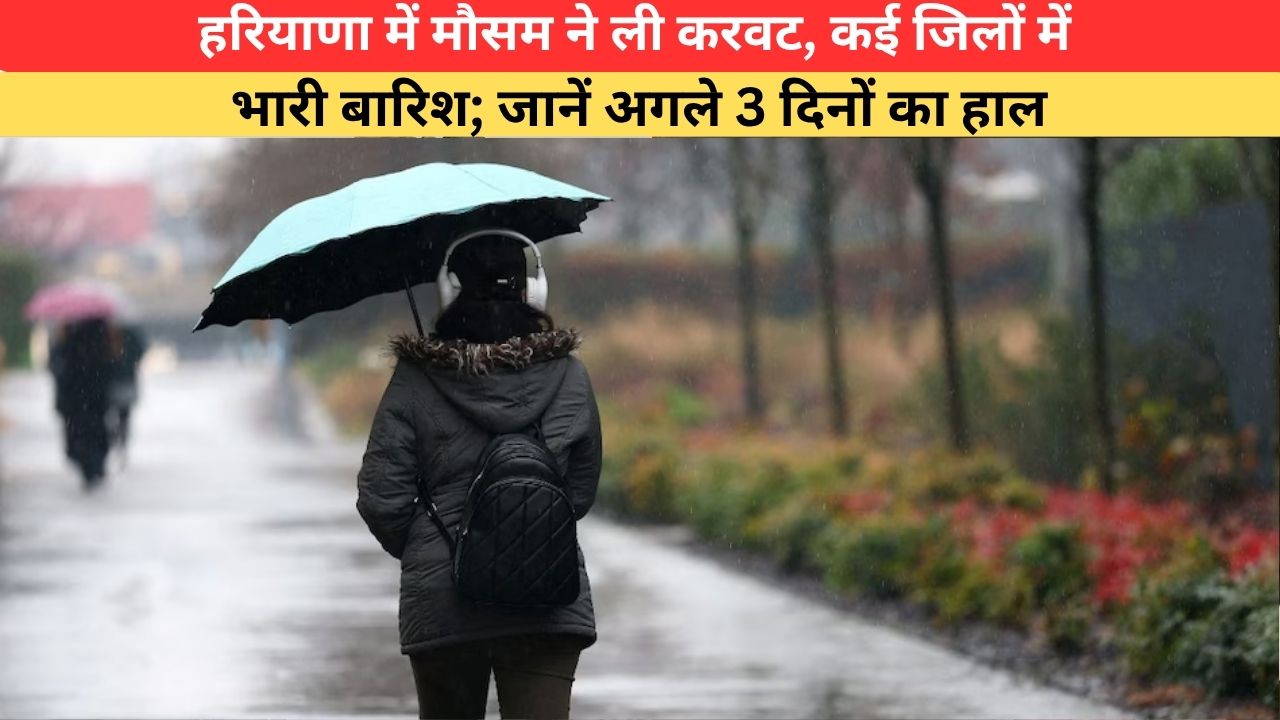 Weather Update: हरियाणा में मौसम ने ली करवट, कई जिलों में भारी बारिश; जानें अगले 3 दिनों का हाल
