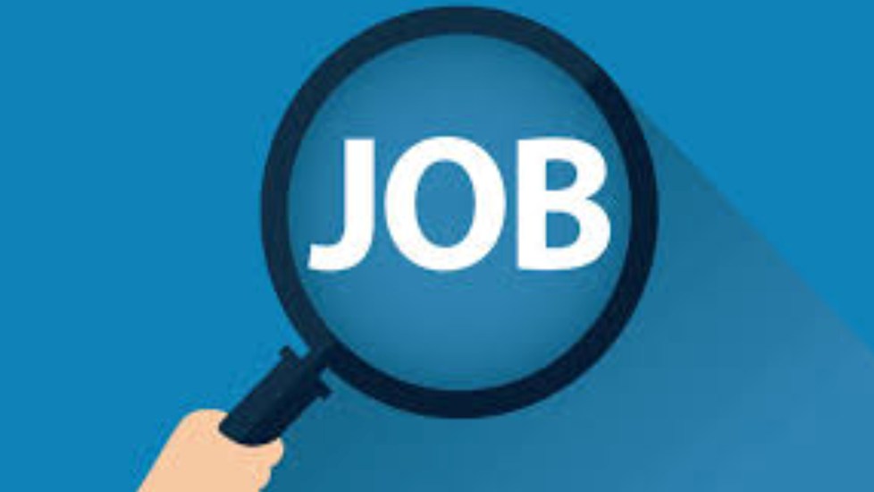 Nursing Jobs: नर्सिंग फील्ड में बंपर वैकेंसी, 2300 से ज्यादा पदों के लिए आवेदन शुरू; यहां देखें पूरी डिटेल