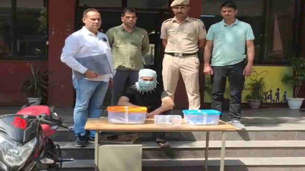 Delhi Crime News:  द्वारका में गोल्ड चेन स्नैचिंग का खुलासा, 27 मामलों में शामिल कुख्यात अपराधी गिरफ्तार