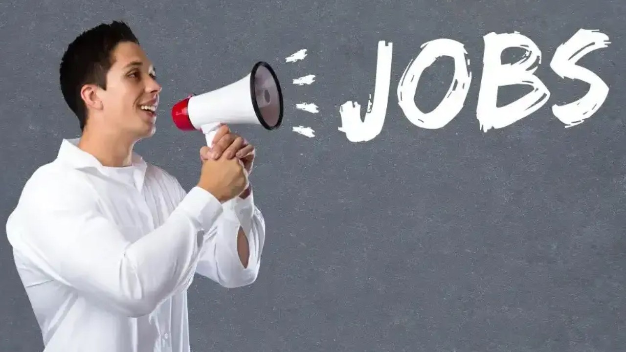 Haryana Jobs Update: युवाओं के लिए खुशखबरी! हरियाणा सरकार ने निकाली 2397 कंडक्टर पदों पर भर्ती, यहां जानें पूरा ब्योरा