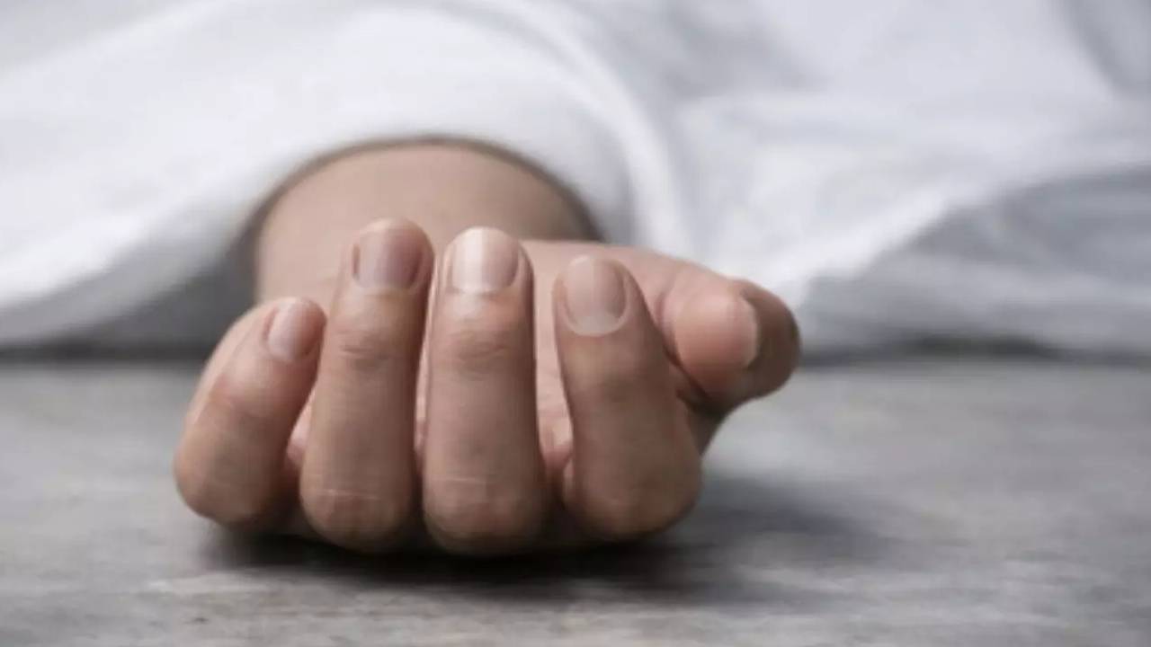 Bihar News: गर्भ में पल रहे 3 माह के बच्चे संग महिला ने दुनिया को कहा अलविदा, एनिवर्सरी के दिन उठी अर्थी