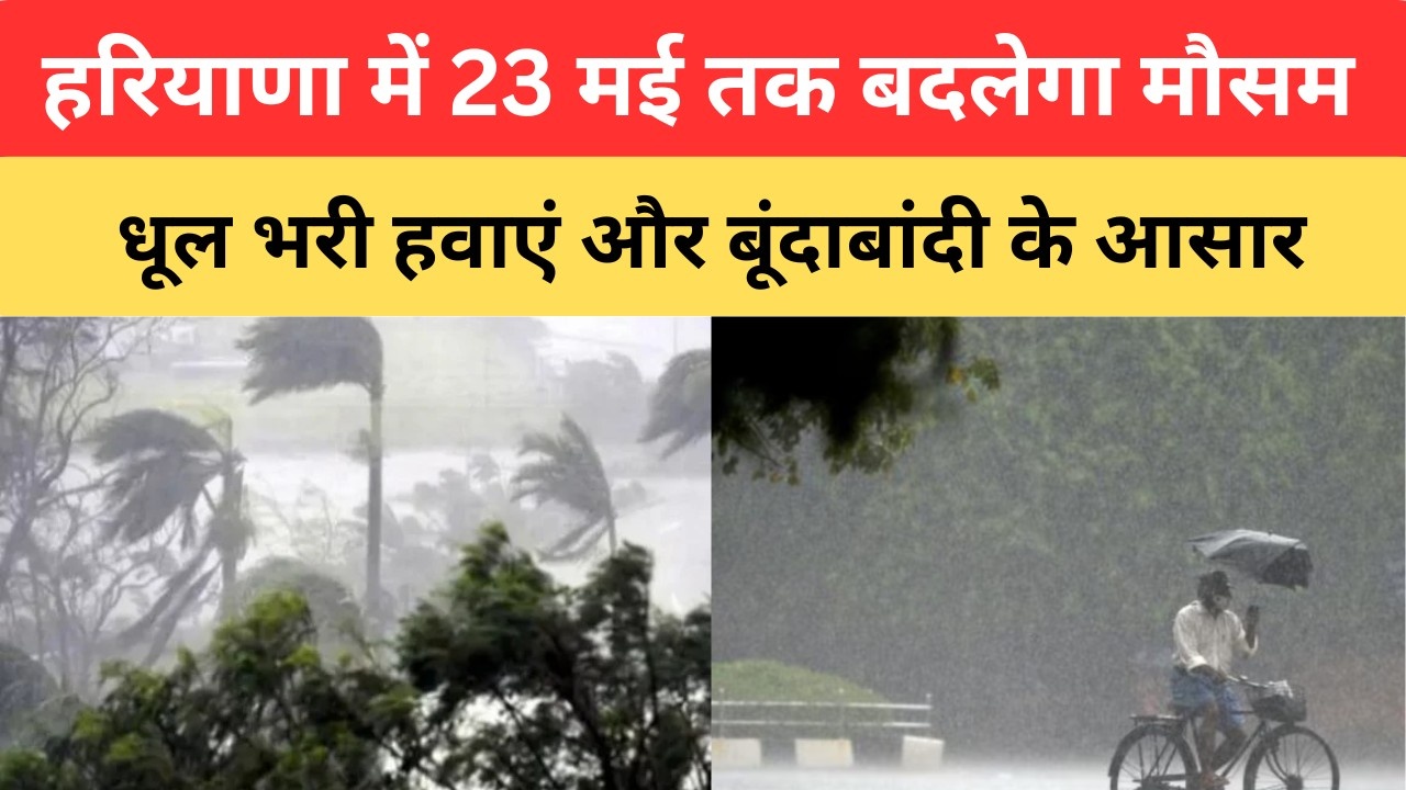 Haryana Weather: हरियाणा में 23 मई तक बदलेगा मौसम, धूल भरी हवाएं और बूंदाबांदी के आसार