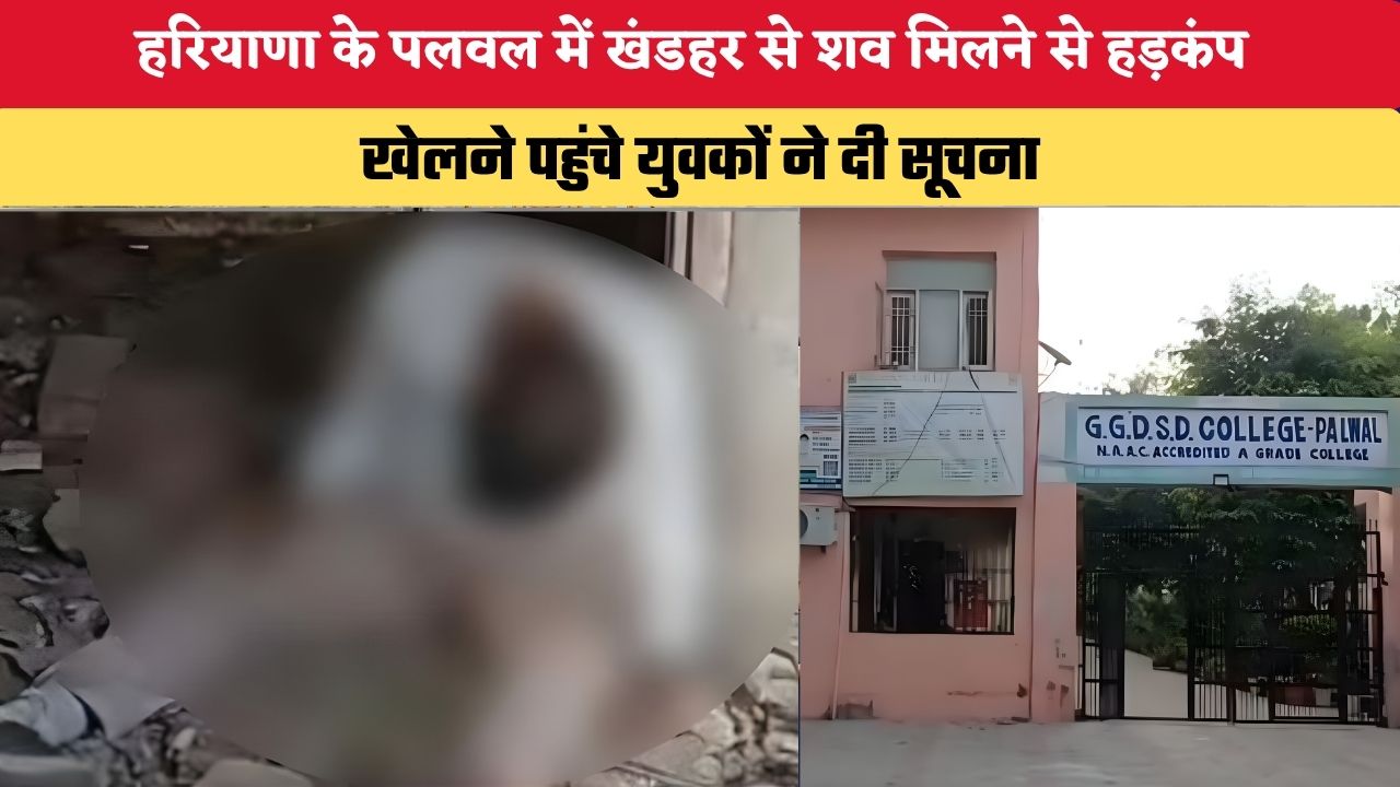 Haryana News: हरियाणा के पलवल में खंडहर से शव मिलने से हड़कंप, खेलने पहुंचे युवकों ने दी सूचना