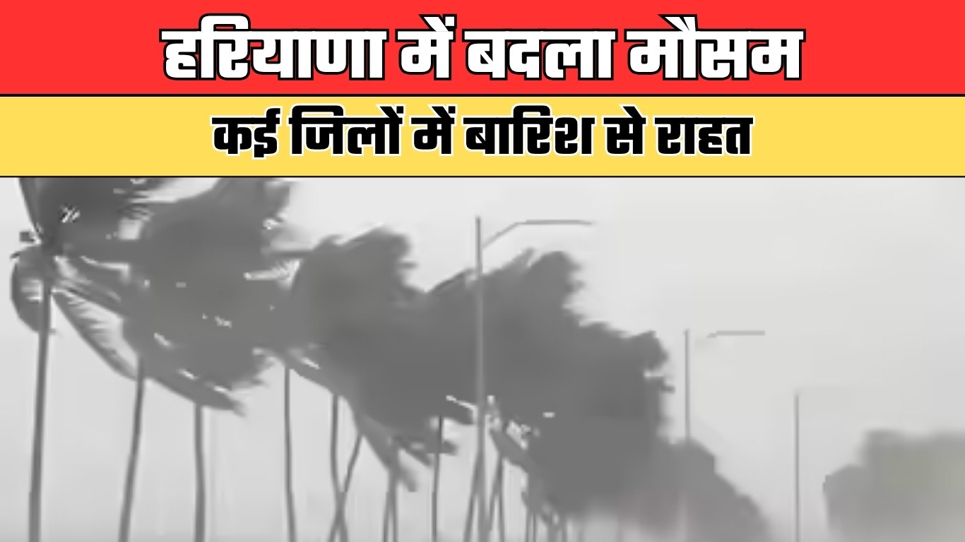 Haryana Weather: हरियाणा में बदला मौसम, कई जिलों में बारिश से राहत