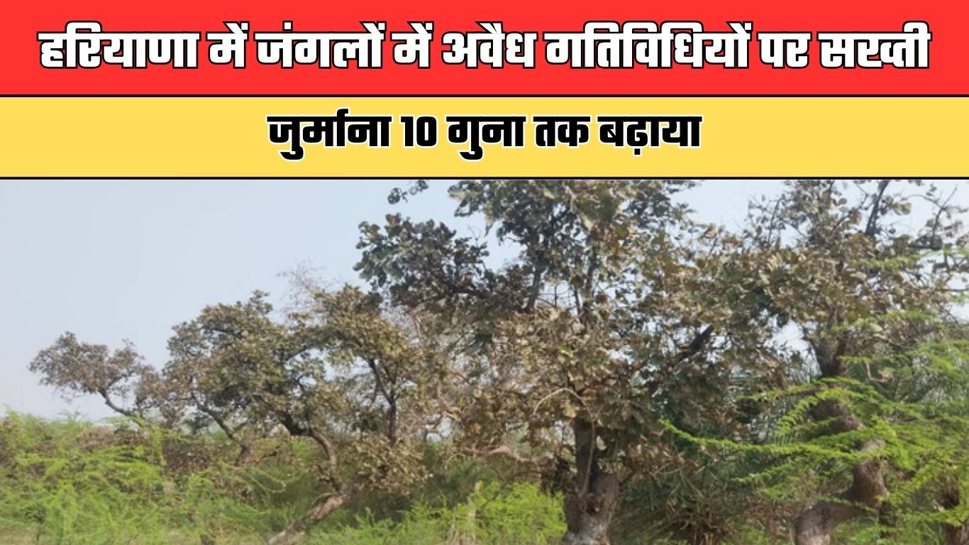 हरियाणा में जंगलों में अवैध गतिविधियों पर सख्ती, जुर्माना 10 गुना तक बढ़ाया