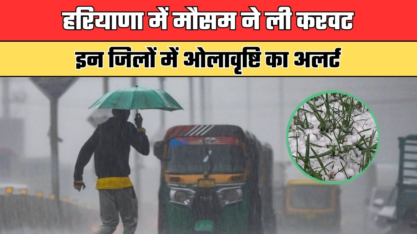 Haryana Weather: हरियाणा में मौसम ने ली करवट, इन जिलों में ओलावृष्टि का अलर्ट