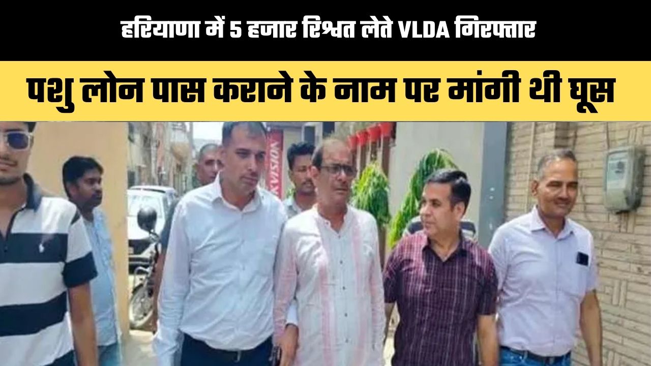 हरियाणा में 5 हजार रिश्वत लेते VLDA गिरफ्तार, पशु लोन पास कराने के नाम पर मांगी थी घूस