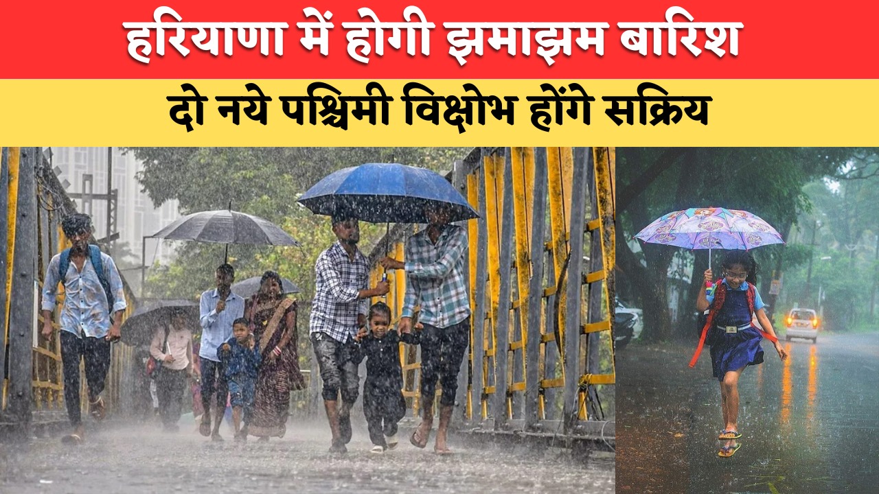 Haryana Weather Update:हरियाणा में दो पश्चिमी विक्षोभ से होगी झमाझम बारिश, देखें अगले 7 दिनों तक कैसा रहेगा मौसम ?