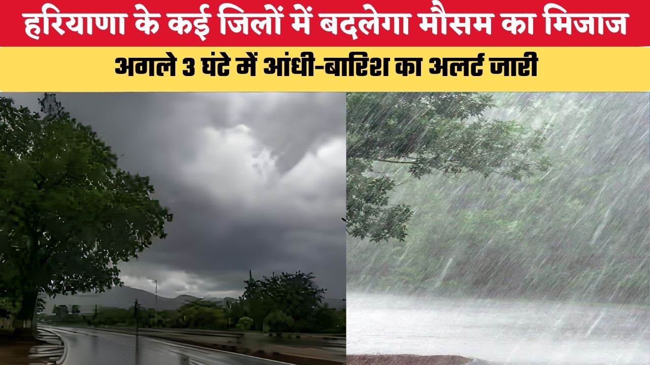 Haryana Weather Update: हरियाणा के कई जिलों में बदलेगा मौसम का मिजाज, अगले 3 घंटे में आंधी-बारिश का अलर्ट जारी