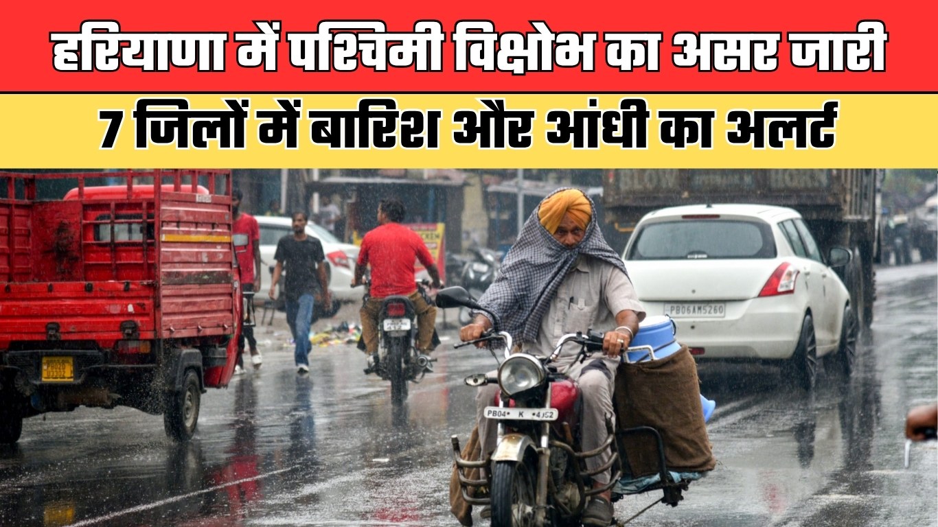 हरियाणा में पश्चिमी विक्षोभ का असर जारी, 7 जिलों में बारिश और आंधी का अलर्ट