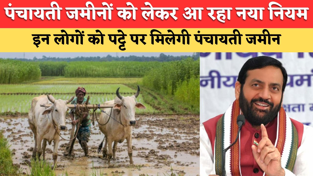 हरियाणा में पंचायती जमीनों को लेकर आ रहा नया नियम, अब सिर्फ इन लोगों को पट्टे पर मिलेगी पंचायती जमीन, जानिए