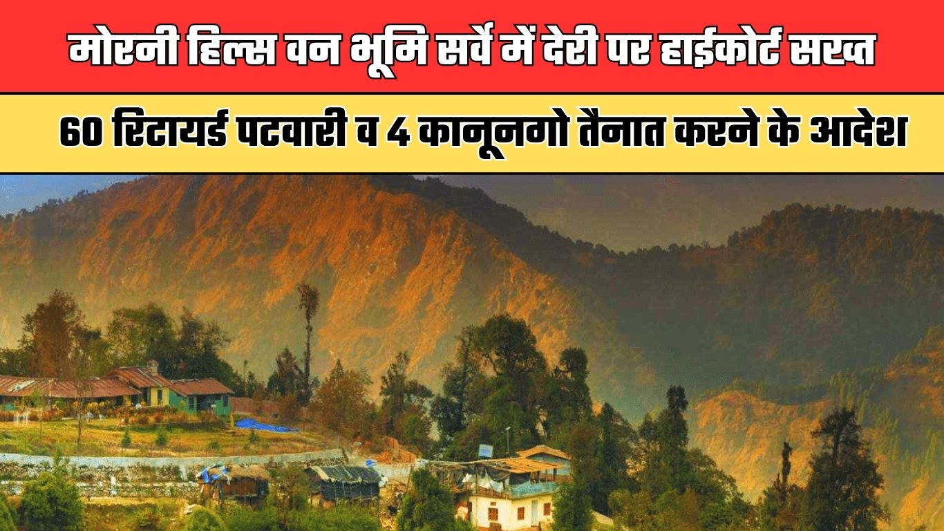 Haryana: मोरनी हिल्स वन भूमि सर्वे में देरी पर हाईकोर्ट सख्त, 60 रिटायर्ड पटवारी व 4 कानूनगो तैनात करने के आदेश