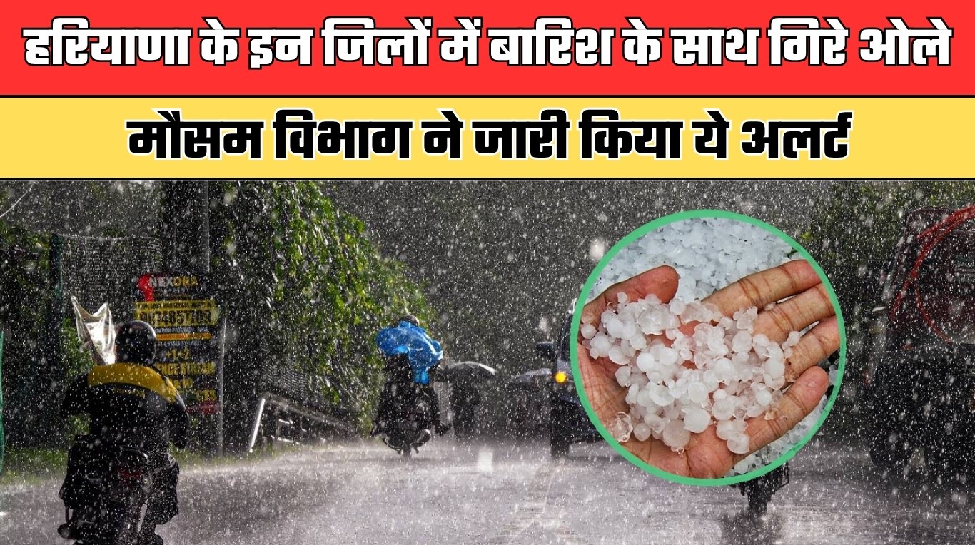 Haryana Weather: हरियाणा के इन जिलों में बारिश के साथ गिरे ओले, मौसम विभाग ने जारी किया ये अलर्ट