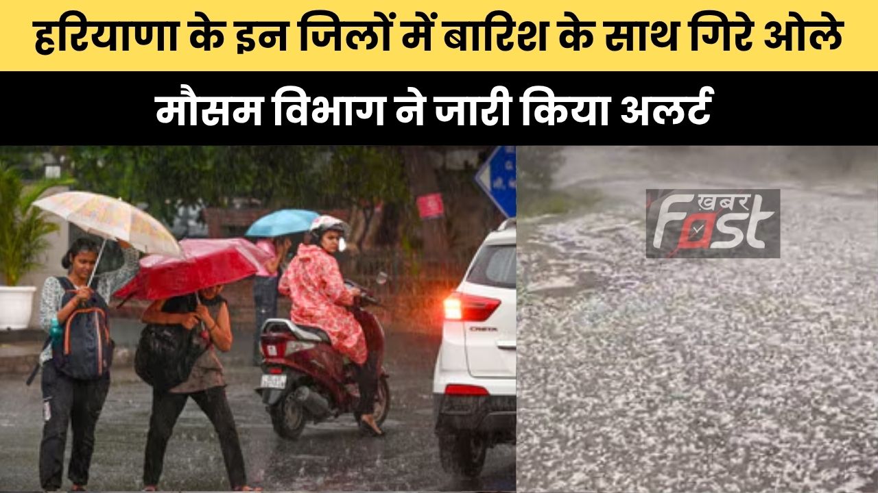 Haryana Weather : हरियाणा के इन जिलों में बारिश के साथ गिरे ओले, मौसम विभाग ने जारी किया अलर्ट