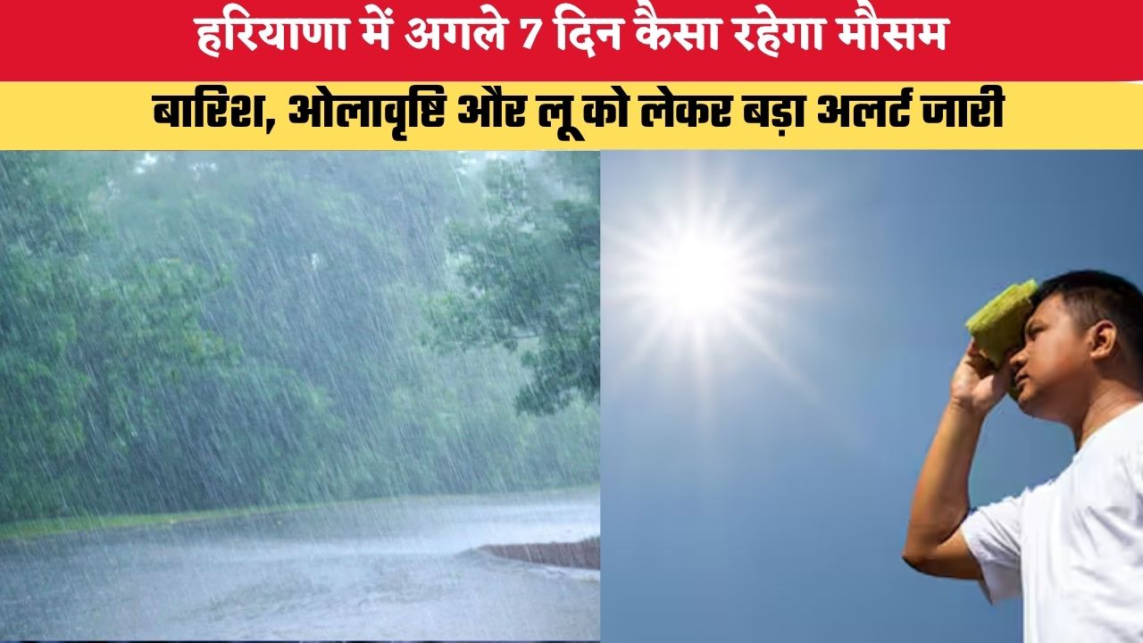 Haryana Weather Update: हरियाणा में अगले 7 दिन कैसे रहेगा मौसम, बारिश, ओलावृष्टि और लू को लेकर बड़ा अलर्ट जारी