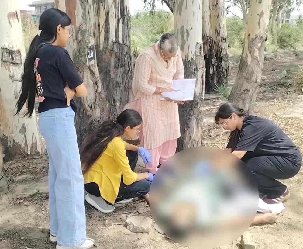 Haryana News: हरियाणा के नहर में बहकर आई महिला, राहगीरों ने बाहर निकाला तो थमी मिलीं सांसें