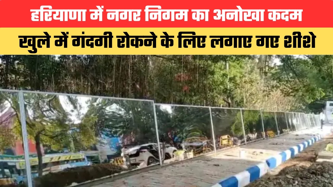 हरियाणा में नगर निगम का अनोखा कदम, खुले में गंदगी रोकने के लिए लगाए गए शीशे
