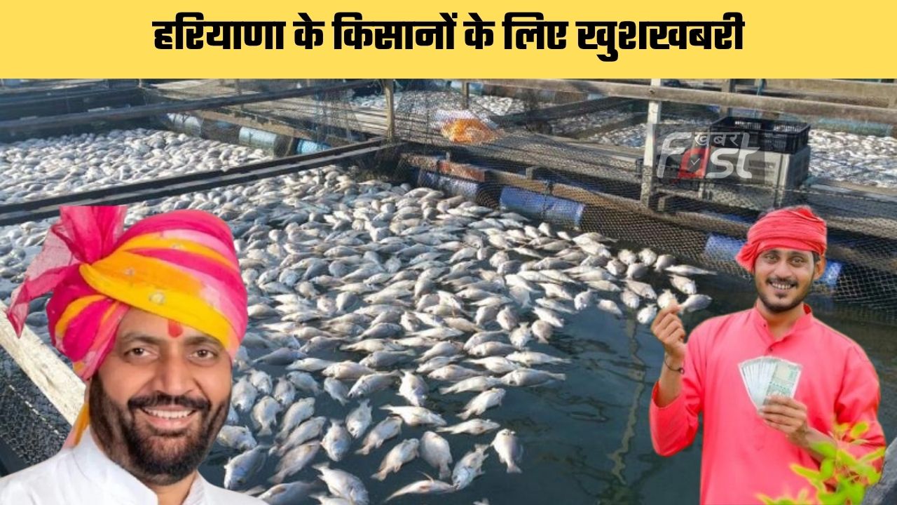 Haryana news : हरियाणा के किसानों के लिए खुशखबरी, मछली पालन पर मिलेगी इतनी सब्सिडी