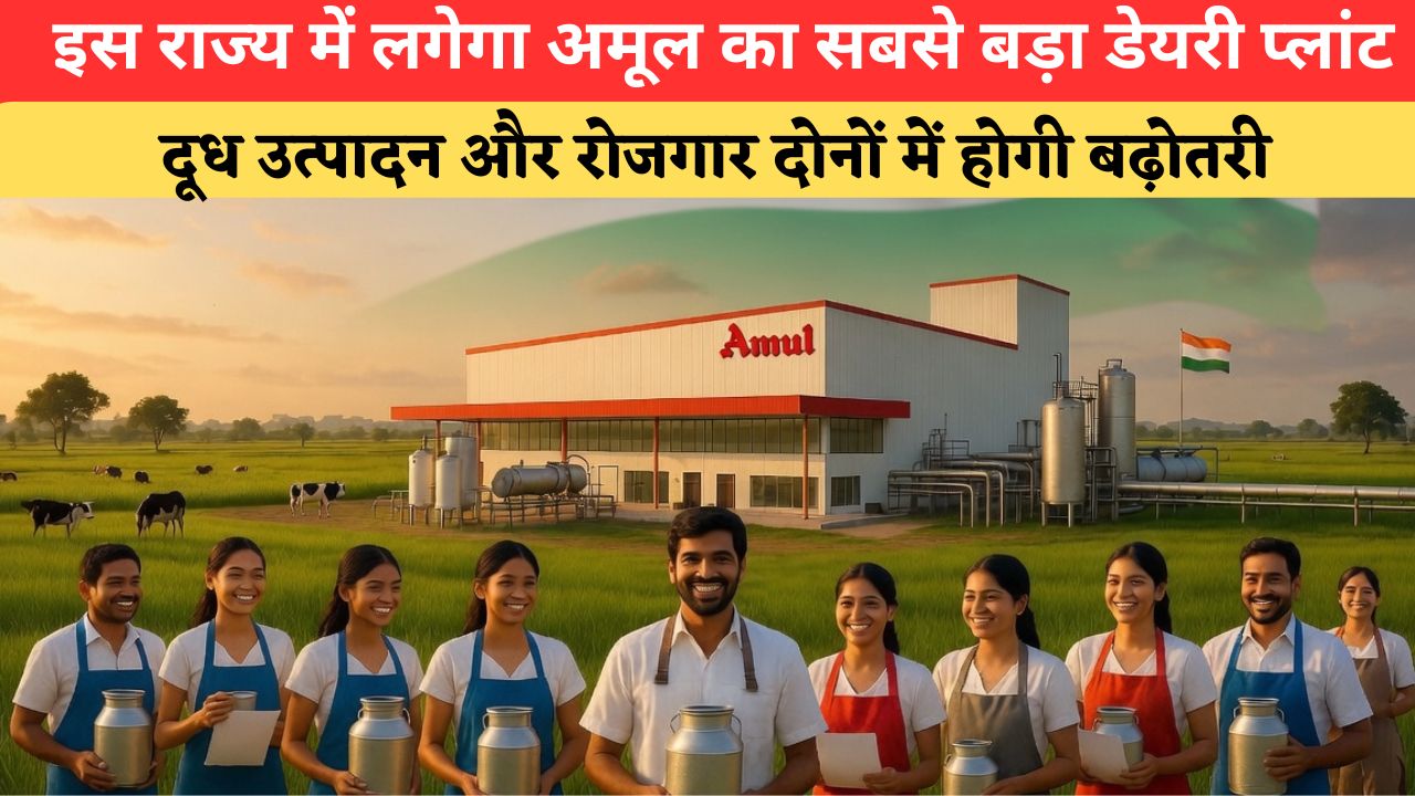 देश का सबसे बड़ा अमूल डेयरी प्लांट जल्द होगा तैयार, मिलेगा रोजगार का बड़ा मौका