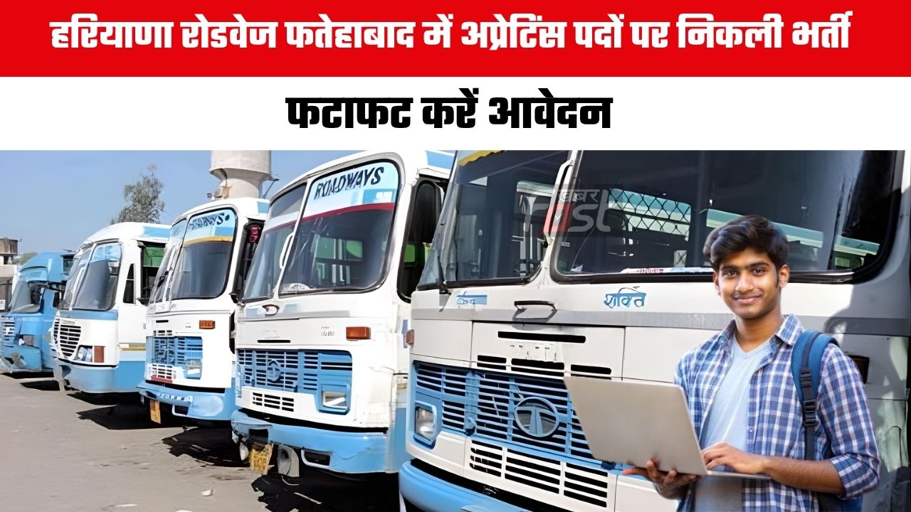 Haryana Roadways Jobs: हरियाणा रोडवेज फतेहाबाद में अप्रेटिंस पदों पर निकली भर्ती, फटाफट करें आवेदन