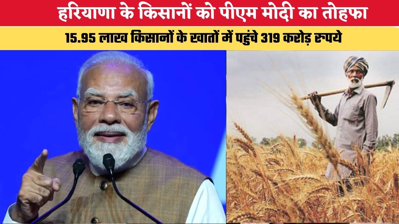 Haryana News: हरियाणा के किसानों को पीएम मोदी का तोहफा, 15.95 लाख किसानों के खातों में पहुंचे 319 करोड़ रुपये