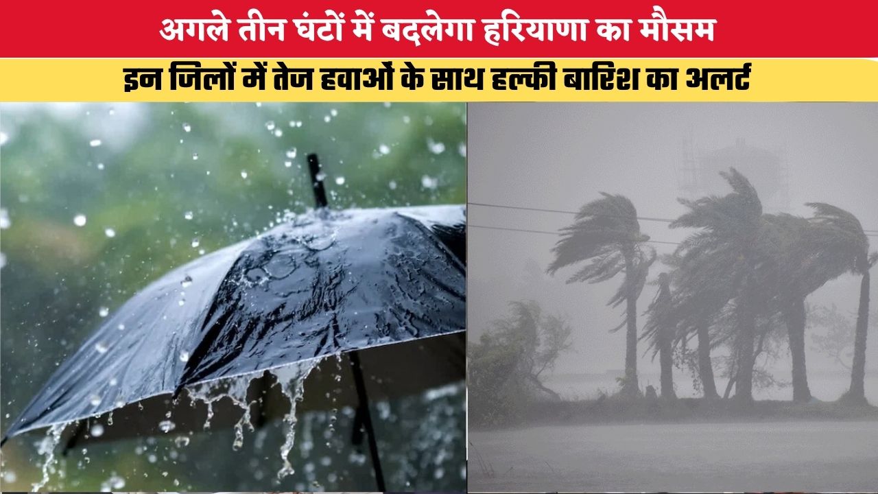 Haryana Weather Update: अगले तीन घंटों में बदलेगा हरियाणा का मौसम, इन जिलों में तेज हवाओं के साथ हल्की बारिश का अलर्ट