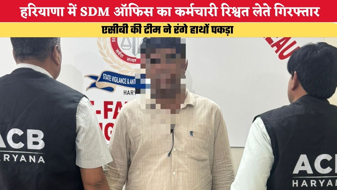 Haryana News: हरियाणा में SDM ऑफिस का कर्मचारी रिश्वत लेते गिरफ्तार, एसीबी की टीम ने रंगे हाथों पकड़ा