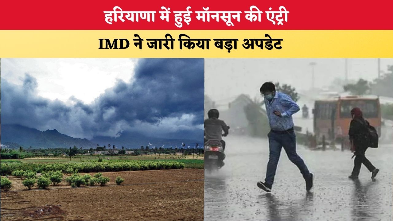 Haryana Weather Update: हरियाणा में हुई मॉनसून की एंट्री, IMD ने जारी किया बड़ा अपडेट