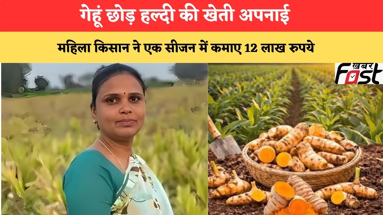 गेहूं छोड़ हल्दी की खेती अपनाई, महिला किसान ने एक सीजन में कमाए 12 लाख रुपये