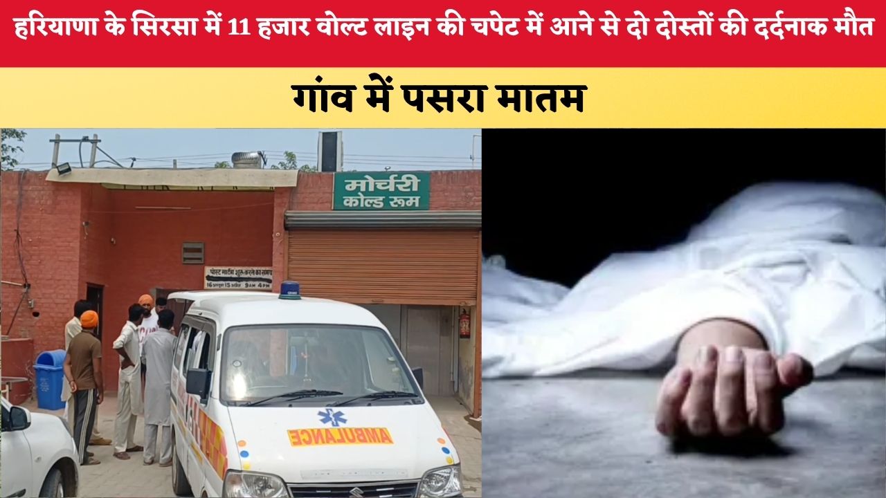 Haryana News: हरियाणा के सिरसा में 11 हजार वोल्ट लाइन की चपेट में आने से दो दोस्तों की दर्दनाक मौत, गांव में पसरा मातम