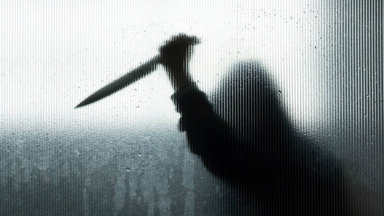 Delhi Crime: दिल्ली के नजफगढ़ में बेटे को बचाने गई मां पर चाकू से हमला, इलाज के दौरान मौत; 1 आरोपी गिरफ्तार