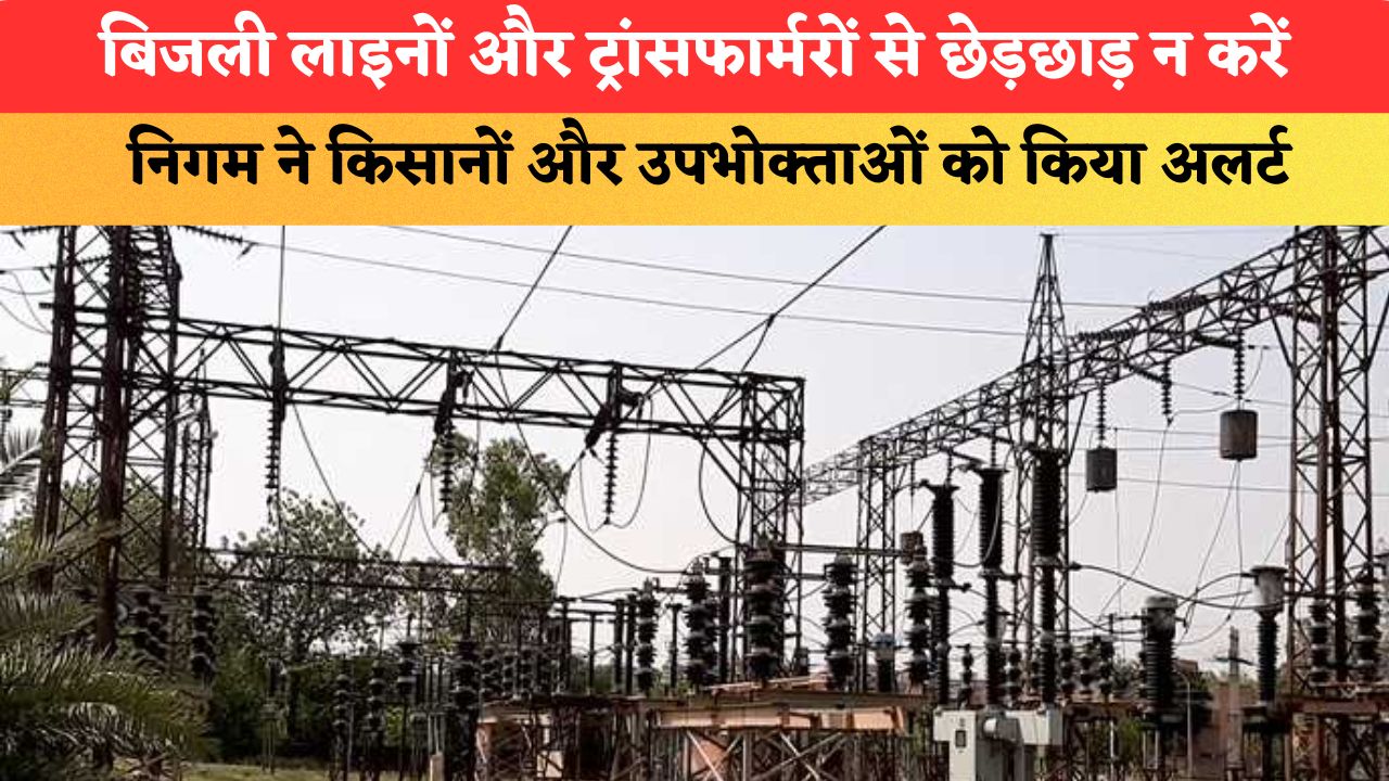Haryana News: बिजली लाइनों और ट्रांसफार्मरों से छेड़छाड़ न करें, निगम ने किसानों और उपभोक्ताओं को किया अलर्ट