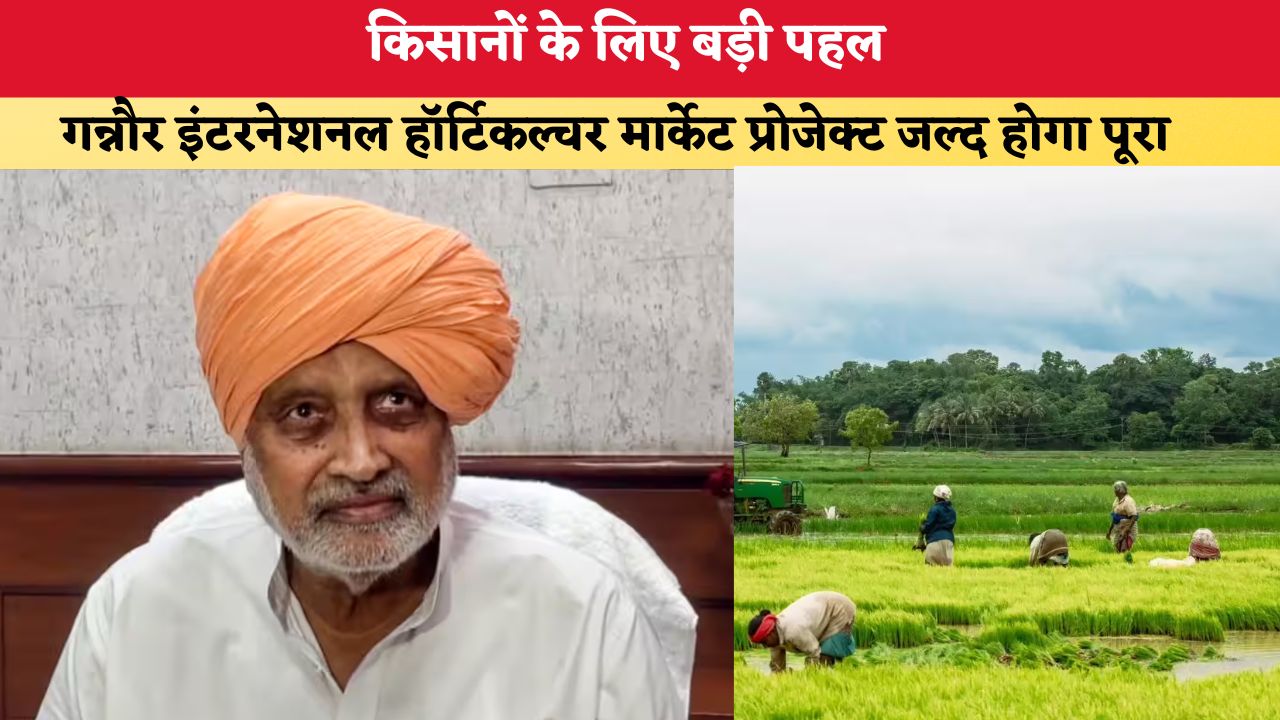Haryana News: किसानों के लिए बड़ी पहल, गन्नौर इंटरनेशनल हॉर्टिकल्चर मार्केट प्रोजेक्ट जल्द होगा पूरा, कृषि मंत्री ने दिए तेज़ी से काम पूरे करने के निर्देश