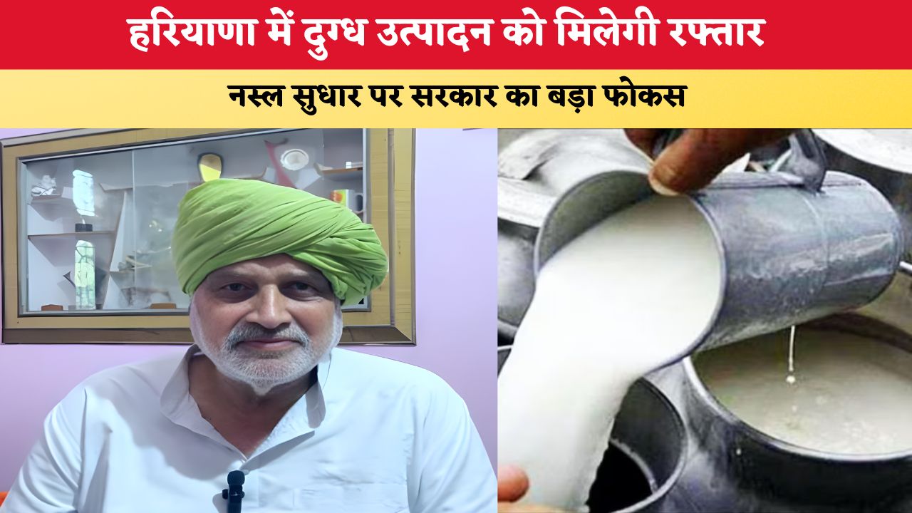 Haryana News: हरियाणा में दुग्ध उत्पादन को मिलेगी रफ्तार, नस्ल सुधार पर सरकार का बड़ा फोकस