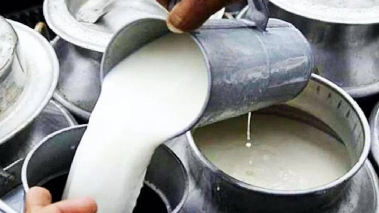 Milk Price Hike: मुंबई में तबेले के दूध के दाम बढ़े, 1सितंबर से 102 रुपये लीटर मिल रहा मिल्क