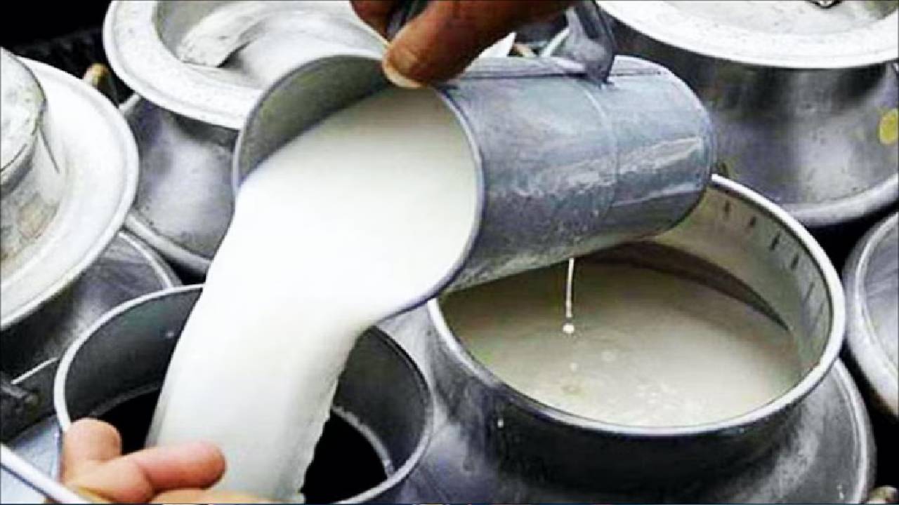 Milk Rate Hike: महंगाई के मोर्चे पर लगा बड़ा झटका, इस राज्य में 8 रुपए महंगा हुआ दूध