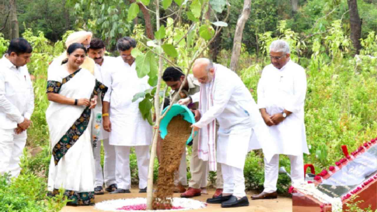 Delhi News: 'एक पेड़ मां के नाम' अभियान के तहत अमित शाह का बड़ा कदम, दिल्ली में लगेंगे 1 करोड़ से अधिक देसी पौधे