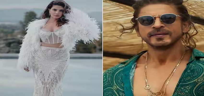 हॉलीवुड को लेकर किंग खान ने प्रिंयका चोपड़ा पर किया था कमेंट, अब एक्ट्रेस ने तोड़ी चुप्पी