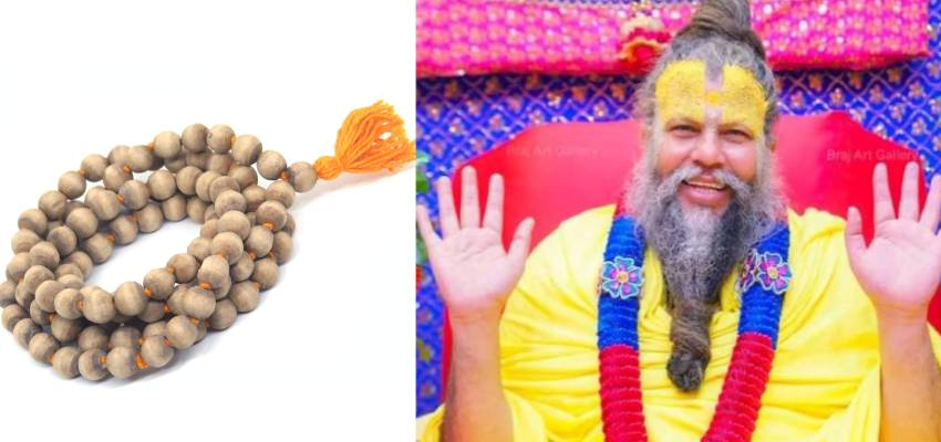 तुलसी की माला पहनने पर न करें ये गलतियां, प्रेमानंद महाराज ने बताए हैं खास नियम
