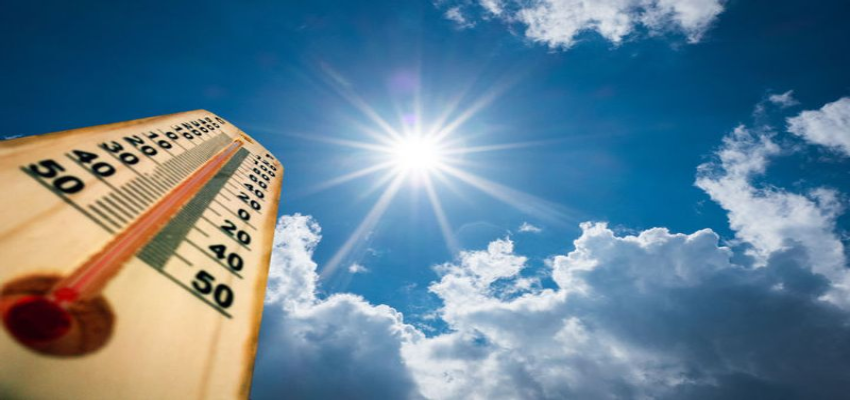 Delhi Heat: फरवरी में ही गर्मी ने डराया! राजधानी दिल्ली में आसमान छू रहा टेंपरेचर; जानें हरियाणा का हाल