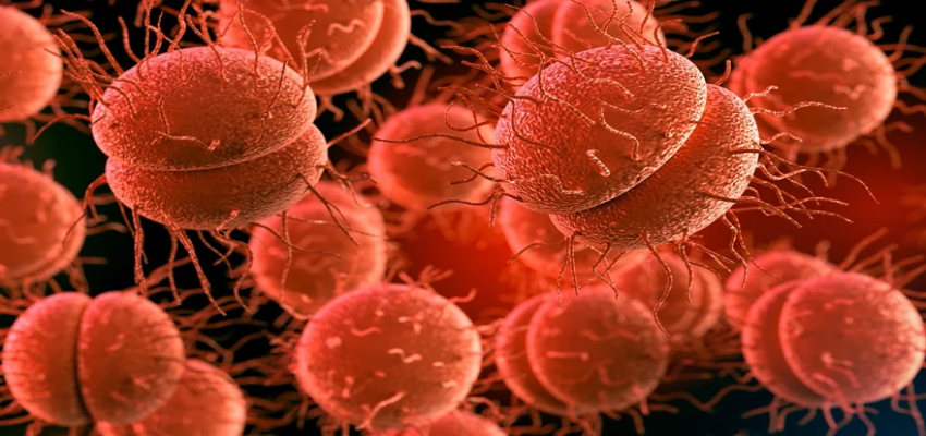 Meningitis Outbreak:इस देश में मेनिनजाइटिस ने बरपाया कहर, लॉकडाउन लगाने की मांग हुई तेज!