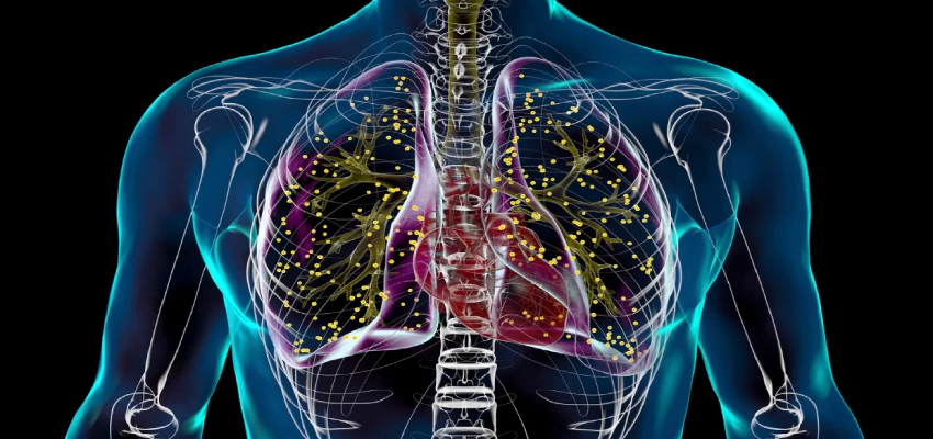 World TB Day 2026: भारत में कम हो रहे टीबी के मामले, जानिए कैसे पहचानें और क्या है लक्षण और इलाज