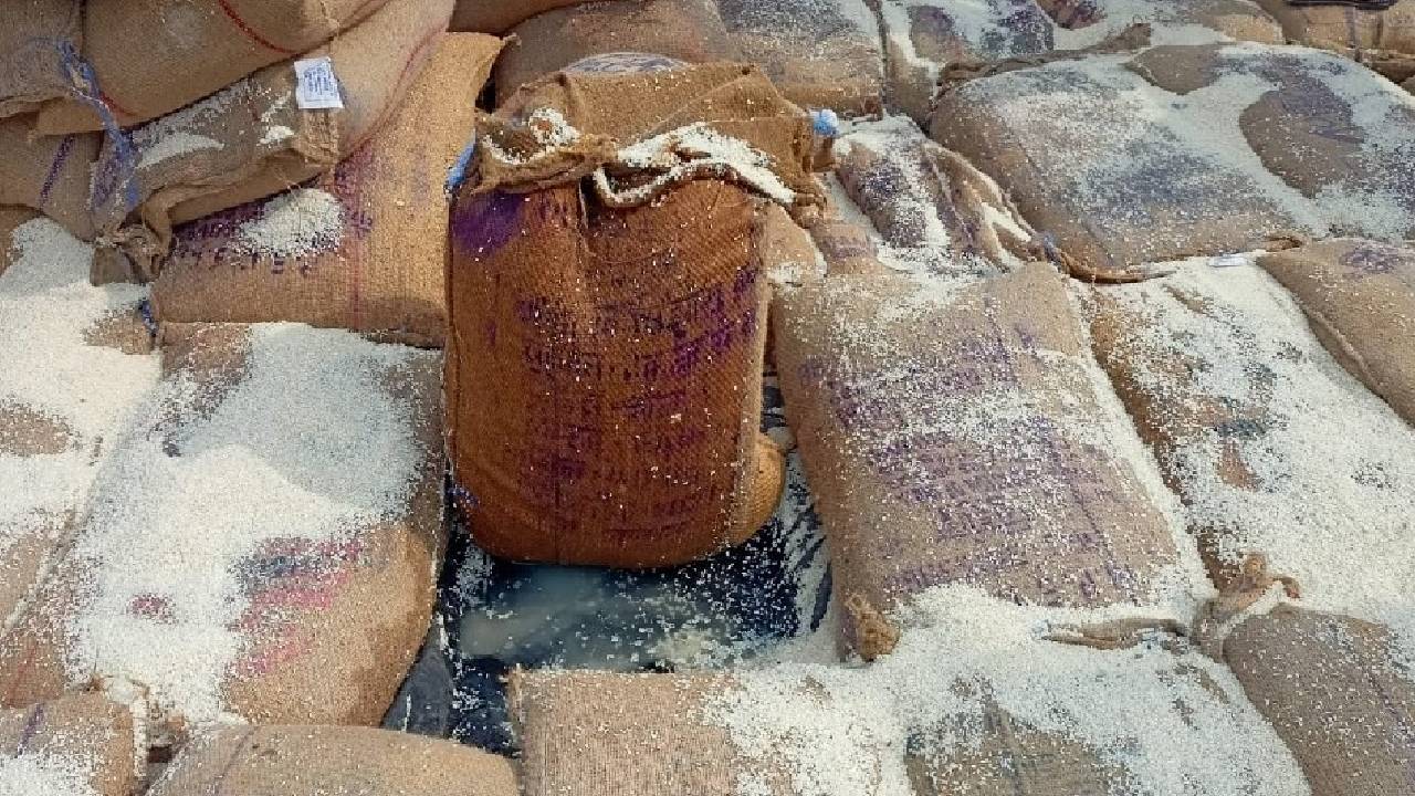 कम बारिश से खरीफ फसलों पर संकट, मॉनसून की विदाई के बीच चावल पर चौंकाने वाली रिपोर्ट