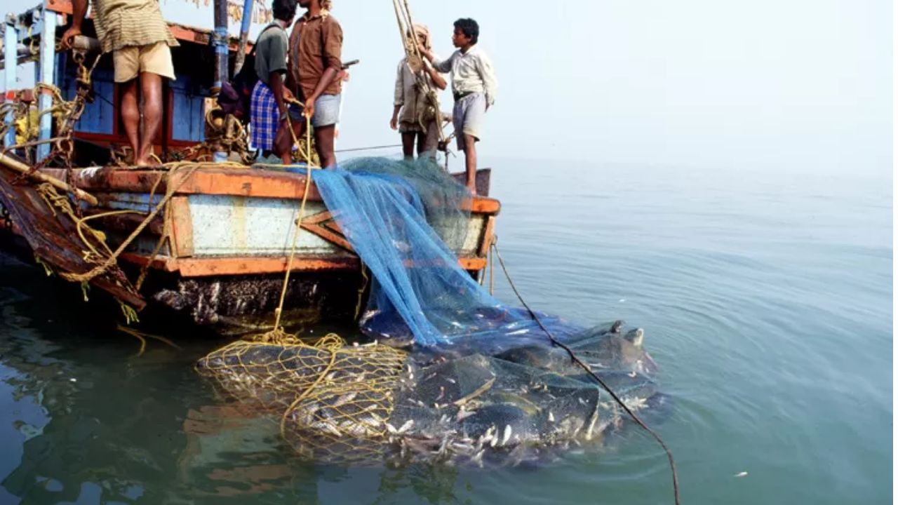केरल में 2015 से अब तक समुद्री हादसों ने छीनी 469 मछुआरों की जानें, 160 लापता; 48,000 का हुआ बचाव