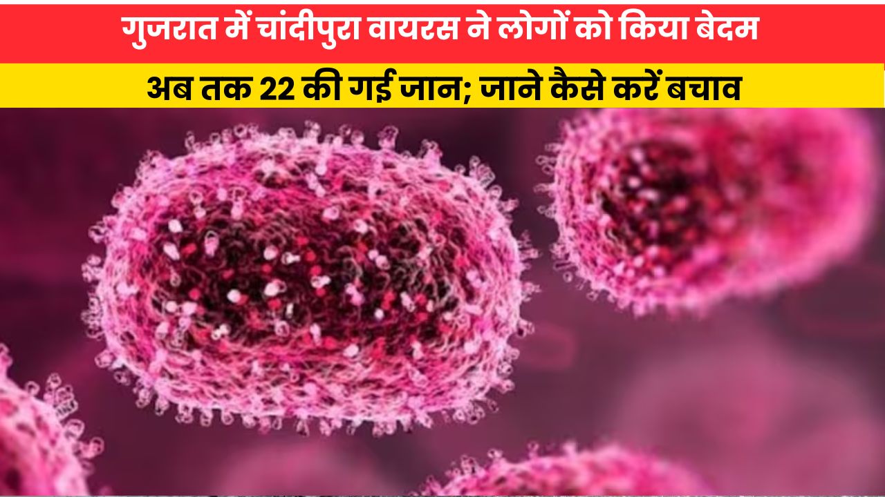 Chandipura Virus Breakout:गुजरात में चांदीपुरा वायरस ने लोगों को किया बेदम, अब तक 22 की गई जान; जाने कैसे करें बचाव