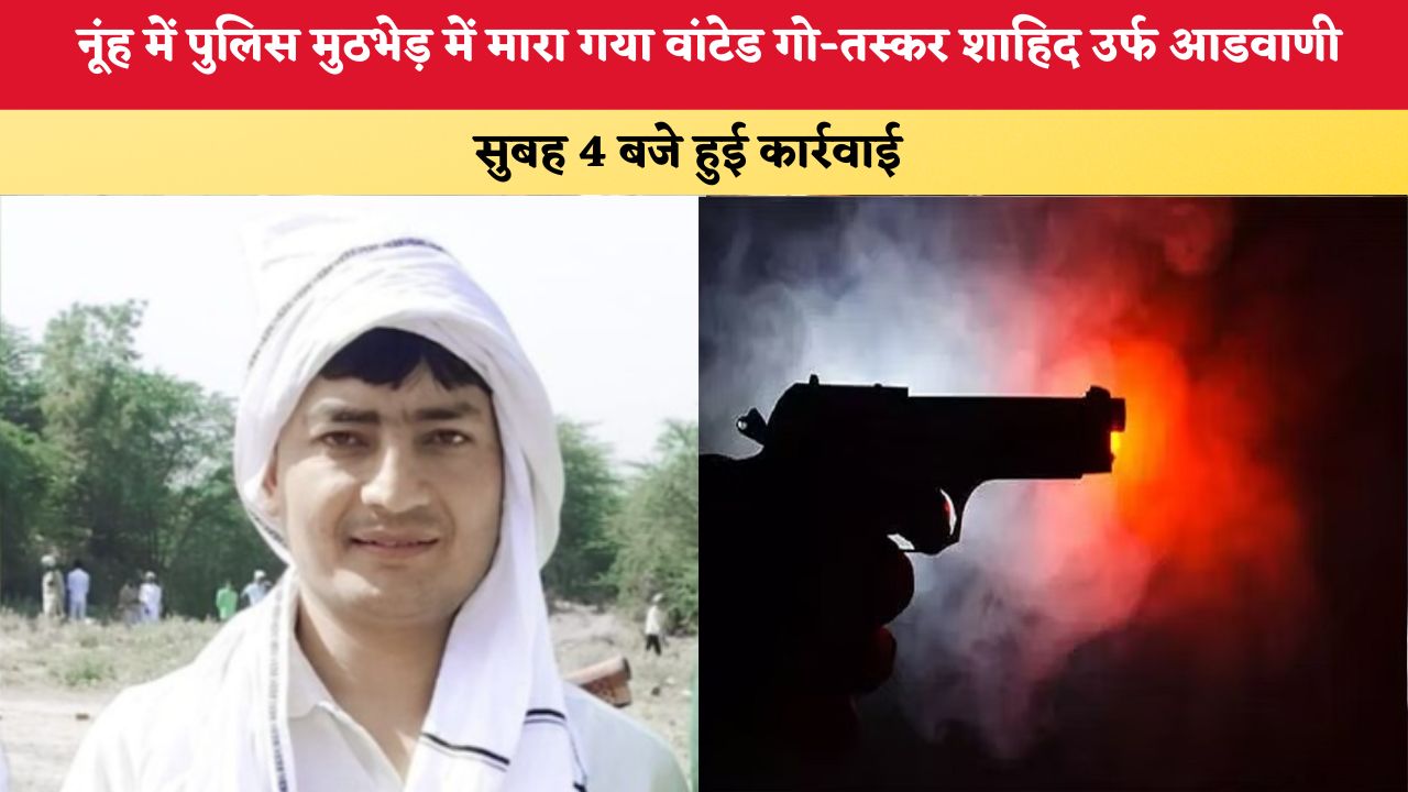Haryana News: नूंह में पुलिस मुठभेड़ में मारा गया वांटेड गो-तस्कर शाहिद उर्फ आडवाणी, सुबह 4 बजे हुई कार्रवाई