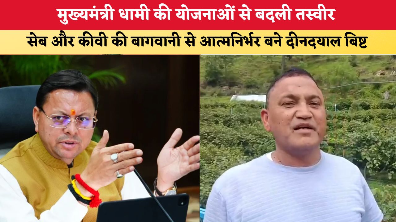 Uttarakhand News: मुख्यमंत्री धामी की योजनाओं से बदली तस्वीर, सेब और कीवी की बागवानी से आत्मनिर्भर बने दीनदयाल बिष्ट