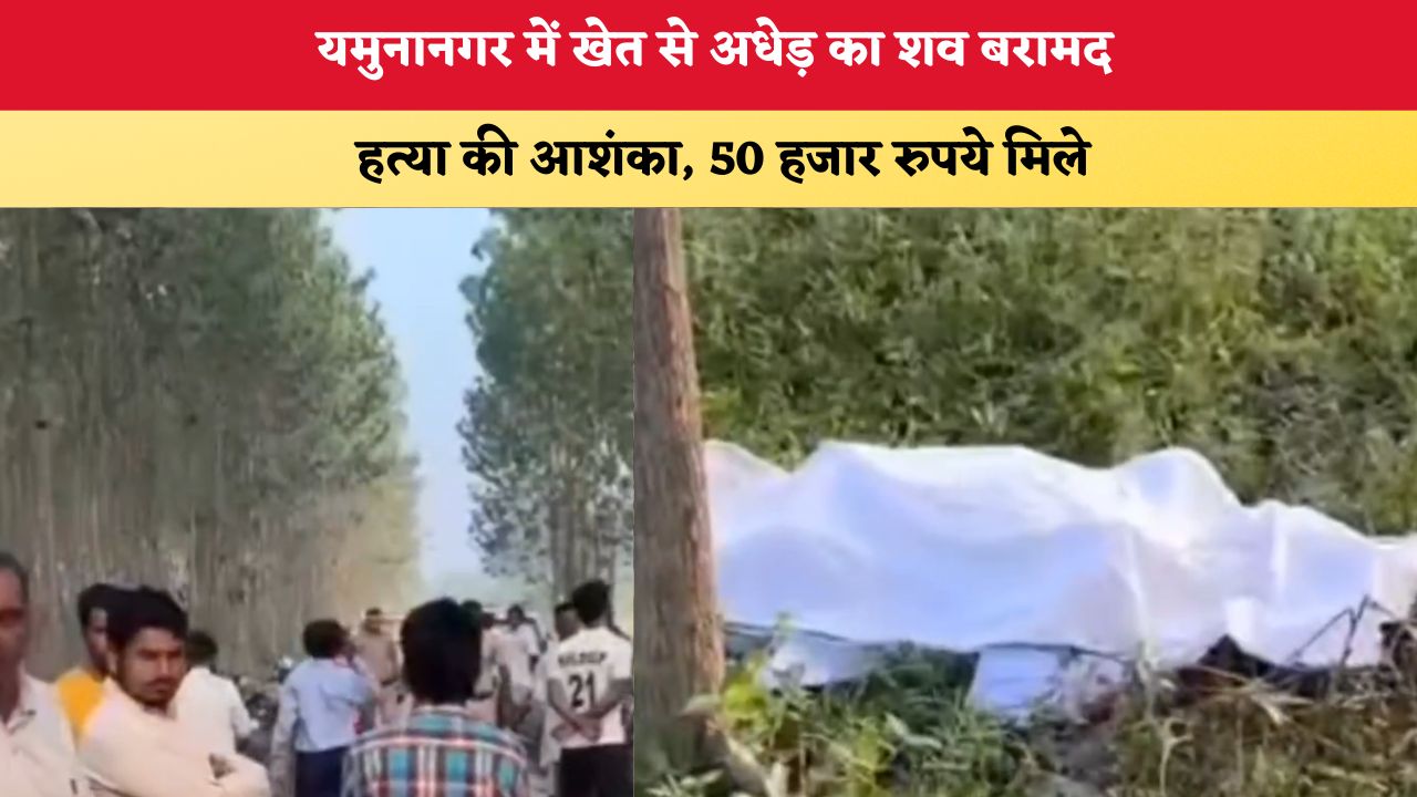 Haryana News: यमुनानगर में खेत से अधेड़ का शव बरामद, हत्या की आशंका; 50 हजार रुपये मिले