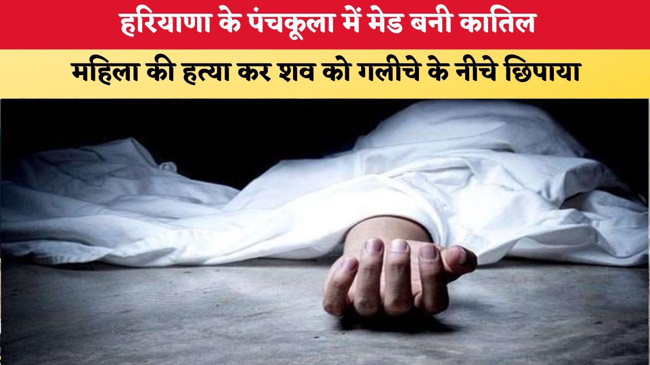 हरियाणा के पंचकूला में मेड बनी कातिल, महिला की हत्या कर शव को गलीचे के नीचे छिपाया